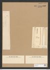 Nitzschia distans var. guarnerensis Grun. (de-Toni-Nr.: Genus 47, Species 2083) Zeichnungen Sammlung Grunow Nr. 4123 (NHMW-BOT-W0371995)